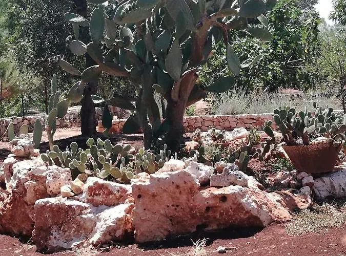 Gianfreda * Ceglie Messapica