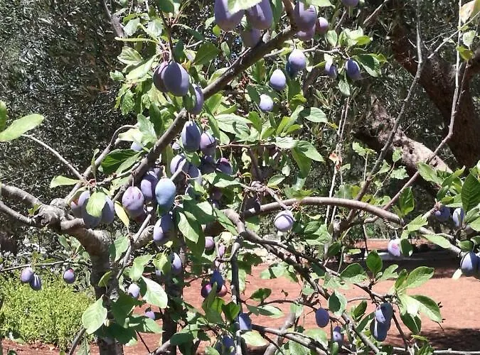 Villa Gianfreda Ceglie Messapica